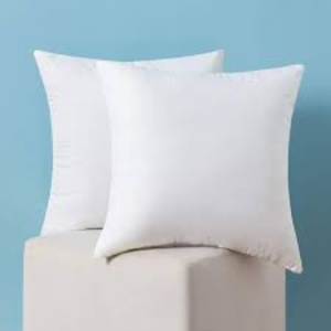 Only Cushion